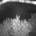 Webcam_20200918-211500