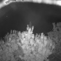 Webcam_20200919-051500