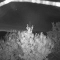 Webcam_20200919-060000