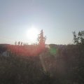 Webcam_20200919-083000