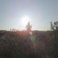 Webcam_20200919-084500