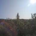 Webcam_20200919-110000
