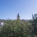Webcam_20200919-134500
