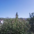 Webcam_20200919-141500