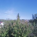 Webcam_20200919-170000