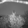 Webcam_20200919-200000