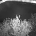 Webcam_20200919-201500