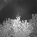 Webcam_20200919-210000