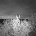 Webcam_20200920-061500