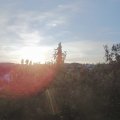 Webcam_20200920-080000