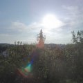 Webcam_20200920-093000
