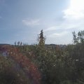 Webcam_20200920-110000