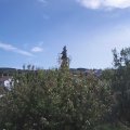 Webcam_20200920-124500