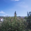 Webcam_20200920-134500