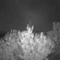 Webcam_20200920-201500
