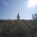Webcam_20200921-104500