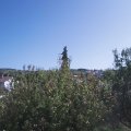 Webcam_20200921-131500