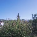 Webcam_20200921-141500