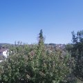 Webcam_20200921-151500