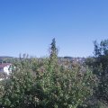 Webcam_20200921-153000