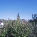 Webcam_20200921-163000