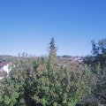 Webcam_20200921-170000