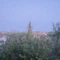Webcam_20200921-194500