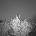 Webcam_20200921-200000
