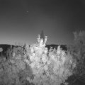 Webcam_20200922-061500
