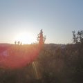 Webcam_20200922-080000
