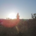 Webcam_20200922-081500