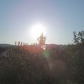 Webcam_20200922-084500