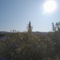 Webcam_20200922-103000
