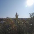 Webcam_20200922-104500