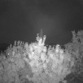 Webcam_20200922-201500