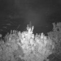 Webcam_20200923-061500