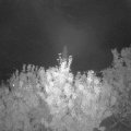 Webcam_20200923-204500