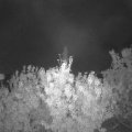 Webcam_20200925-061500