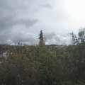 Webcam_20200925-110000