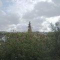 Webcam_20200925-111500