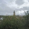 Webcam_20200925-113000