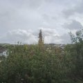 Webcam_20200925-120000