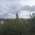 Webcam_20200925-121500