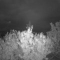 Webcam_20200925-200000