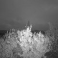 Webcam_20200926-064500
