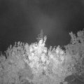 Webcam_20200927-051500