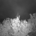 Webcam_20200927-063000