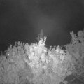 Webcam_20200927-210000