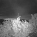 Webcam_20200928-061500