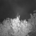 Webcam_20200928-211500